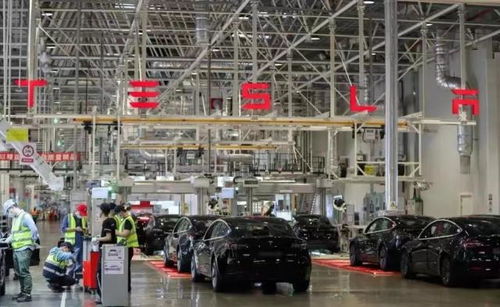 特斯拉否認(rèn)降價傳聞引發(fā)網(wǎng)友熱議